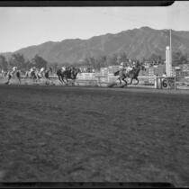 Race horse "Whopper" wins the San Juan Capistrano Invitational Handicap race at Santa Anita Park, Arcadia, 1936