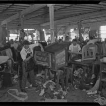 Workers creating upholstered furniture in the Roberti Brothers' furniture factory, Los Angeles, circa 1920-1930
