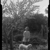 Adelaide Rearden posing next to a blossoming tree, Santa Monica, circa 1928