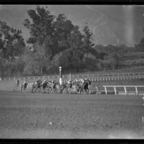 Horses rounding the curve at the quarter pole on Christmas Day at Santa Anita Park, Arcadia, 1935