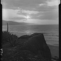 Agaves, cliffs, and ocean from Palisades Park, Santa Monica, 1928
