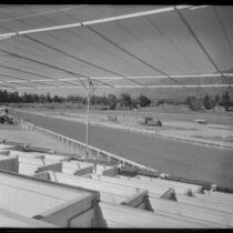 View toward the main track from the clubhouse at Santa Anita Park, Arcadia, 1936