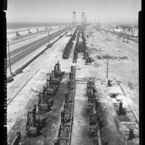 Rows of oil pumps stretching along Pacific Coast Highway near Huntington Beach, Calif., 1958