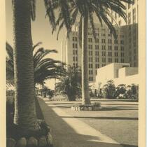 Palm trees outside Los Angeles County Hospital, 1932