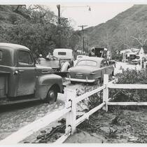 Automobiles attempting to drive through flood, Beverly Glen, Los Angeles, February, 1952