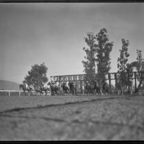 Horses leaving the starting gate for a Christmas Day the day Santa Anita Park first opened, Arcadia, 1935