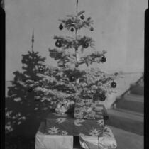 Christmas tree, Los Angeles, circa 1935