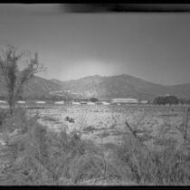 Distant view towards Santa Anita Park, Arcadia, 1936
