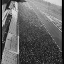 Grandstand view of a horse race at Santa Anita Park, Arcadia, 1936