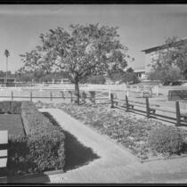 Paddock in front of the grandstand at Santa Anita Park, Arcadia, 1936
