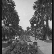 Unidentified park with and woman and two children, rose beds, palm trees and fountain, California, circa 1920-1930