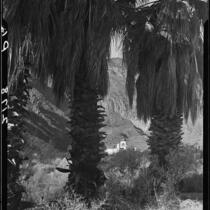 El Kantara, house with onion dome, horseshoe arches, and tiled roof, viewed through palm trees, Palm Springs, [1925-1940?]