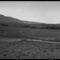 Meadow and mountains, Mono County, [1929?]