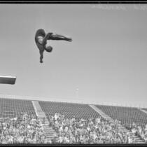 Farid Simaika, 1928 Olympic diver, in a pike position during the flight of a dive, between 1928-1939