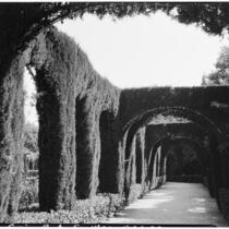 Maria Louisa Park, view from underneath an arch on a gravel walkway, Seville, Spain, 1929