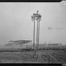 Santa Anita Park under construction, Arcadia, 1934