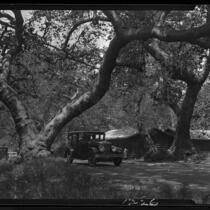 Log building and automobiles near Saddle Peak, Los Angeles, [1920s]