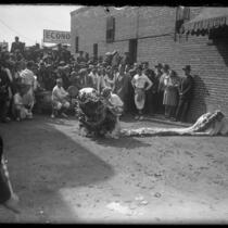 Dragon Dance puppet laid out on ground with spectators and Chinese performers playing drums around it, Los Angeles, Calif., 1929