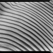 Sand with wind-formed pattern, Imperial Valley or Coachella Valley, 1940