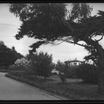 Palisades Park, view towards walkway and entrance to Sunset Trail, Santa Monica, circa 1915-1925