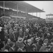 Spectators in the grandstand at Santa Anita Park on Christmas, the first day it opened, Arcadia, 1934