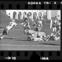 UCLA quarterback John Sciarra in mid-field play during UCLA vs Cal game at the Los Angeles Coliseum, 1975