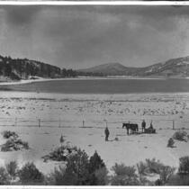 Three men, two horses and a sled on the shore of Baldwin Lake in Big Bear Valley