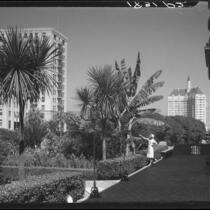 View from garden of the Chamber of Commerce building towards the Villa Riviera, Long Beach, 1932