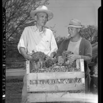 Yee Ming and Hing Wong inspect onions to aid in China relief, Los Angeles, Calif., 1942