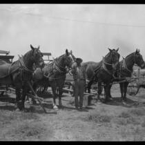 Four horses harnesses to carts, plow, and two farm workers