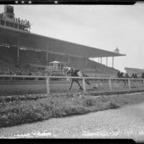 Horses on the home stretch passing the grandstand at Santa Anita Handicap race, Arcadia, 1936