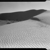 Sand dune, Imperial Valley or Coachella Valley, 1940