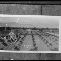 Copy of a wide-angle photo of houses and lots in Alhambra, Calif. circa 1884