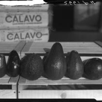 Avocados on shelf, Los Angeles, 1933