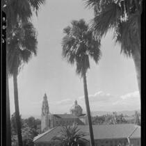 Palm trees and St. Vincent Catholic Church, Los Angeles, [1920-1939?]