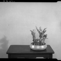 Japanese style flower arrangement with tulips by Margaret Preininger, Los Angeles, 1935