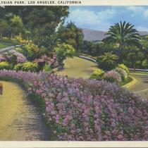 Beautiful Elysian Park, Los Angeles, California