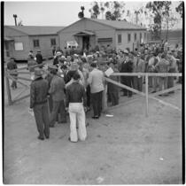 Veterans line up for a surplus truck and trailer sale put on by the War Assets Administration, Port Hueneme, May 1946