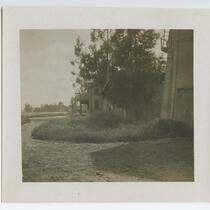 Scenery in Agricultural Park, Exposition Park, Los Angeles
