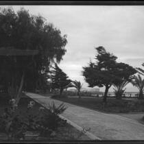 Palisades Park, view towards walkway, garden and amusement pier, Santa Monica, circa 1915-1925